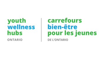 Youth Wellness Hubs